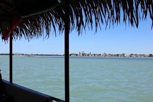 High Tide Tiki Tours