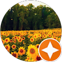 Lola (Lola) profile picture