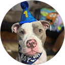 Katie McCarthy profile picture